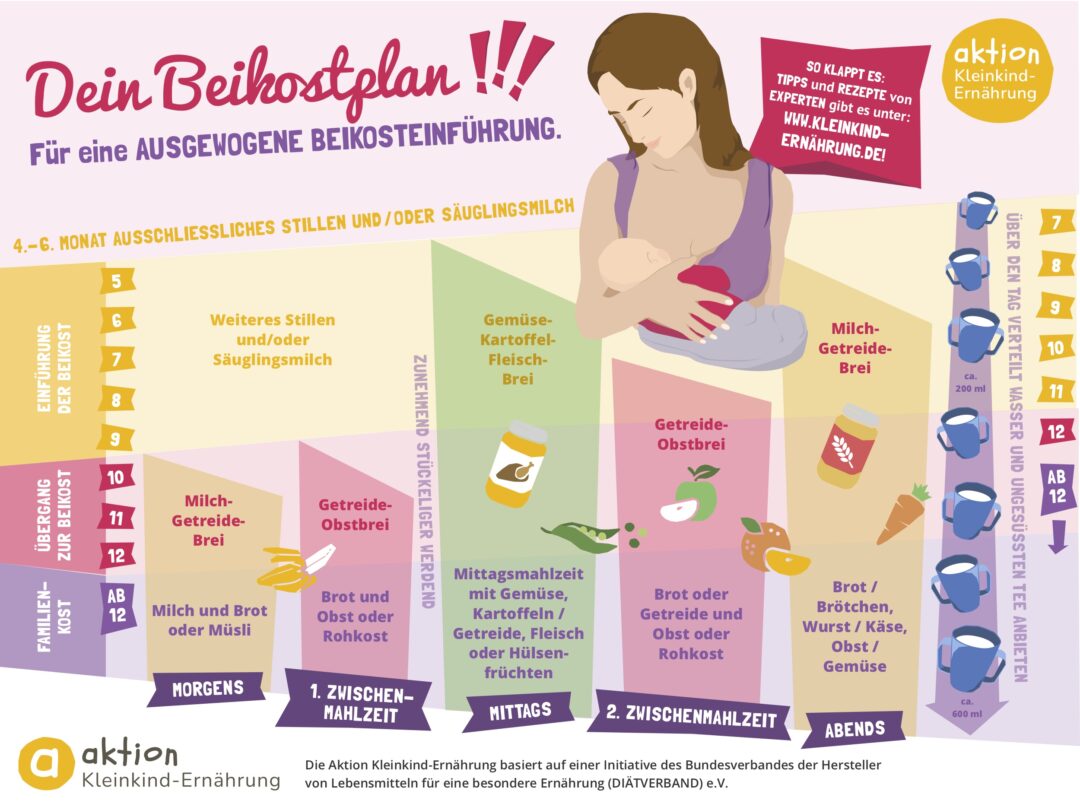 Beikosteinf Hrung Mit Beikostplan Aktion Kleinkind Ern Hrung